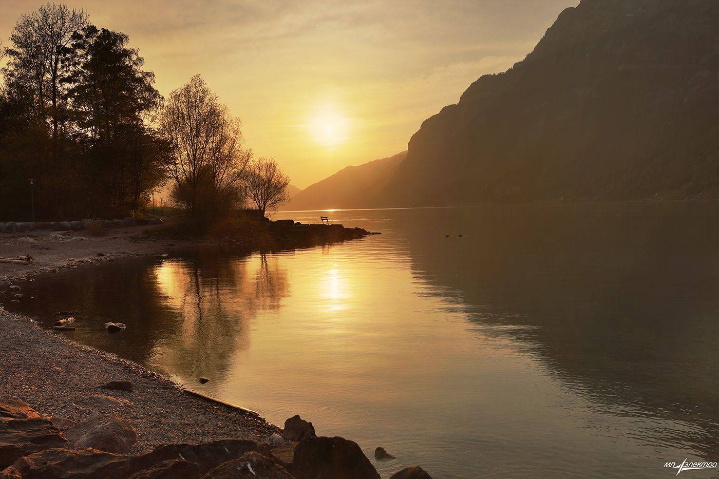 swiss, Матвеев Николай