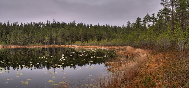 Бродим по осенним болотам :) фото превью