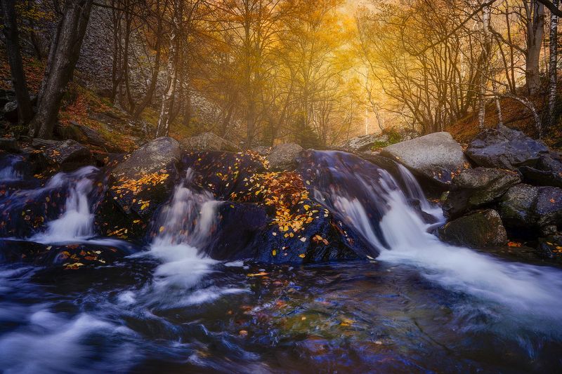 Autumn beauty фото превью