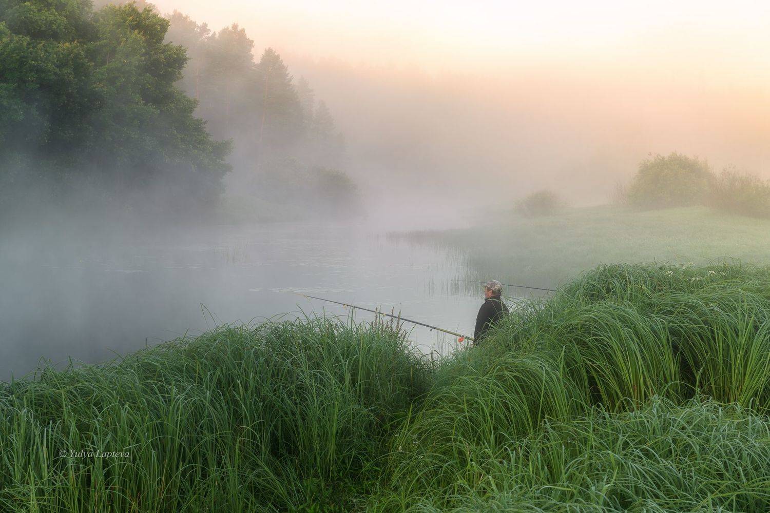 брянская область,лето,июль,жуковка, Юлия Лаптева