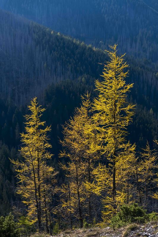 Autumn in the mountain фото превью