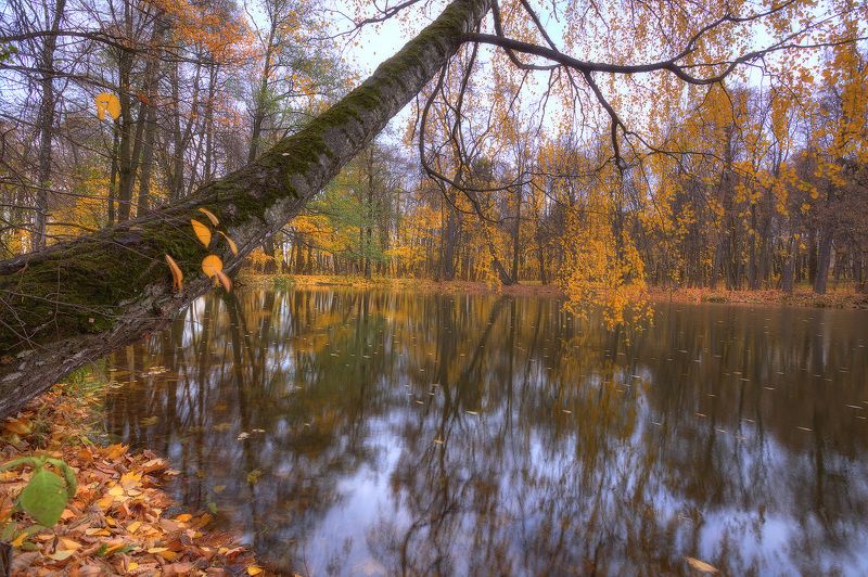 Осенняя зарисовка фото превью