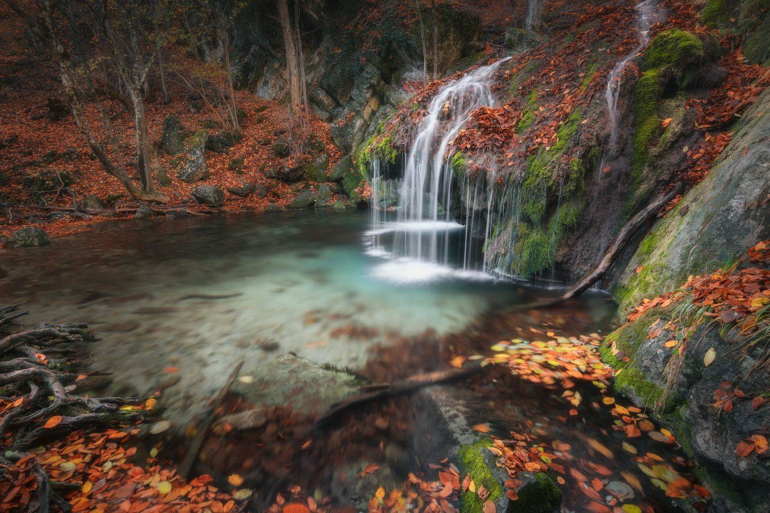 , Алексей Агеев