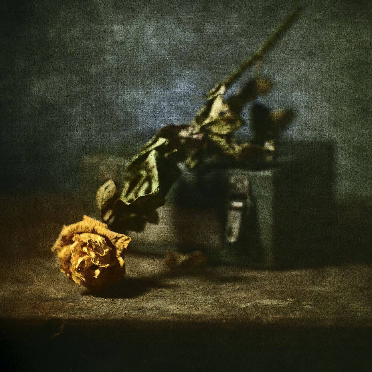 , Татьяна Аверина