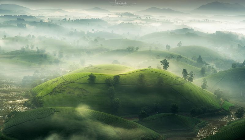 Far away to the tea hill... фото превью
