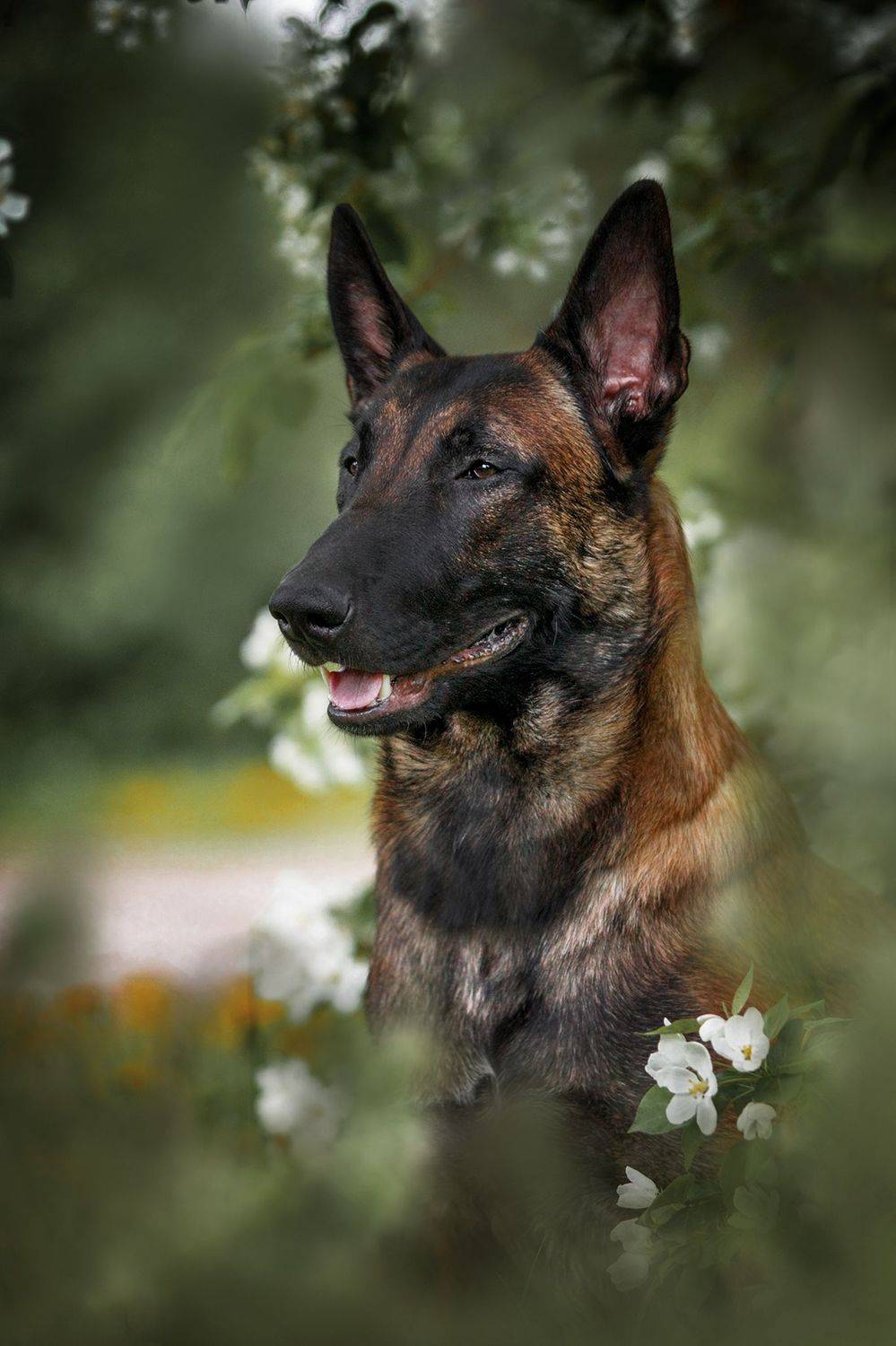 , Юлия Гончар