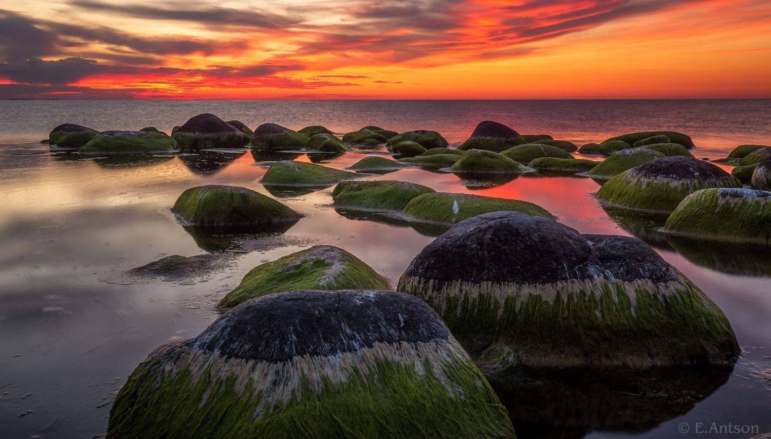 пейзаж, природа, море, эстония, Elvis Antson