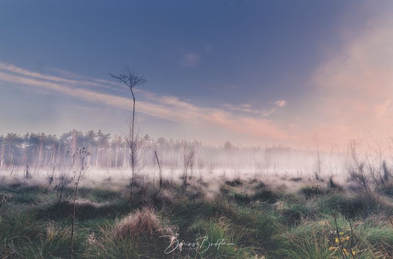 Morning fog фото превью