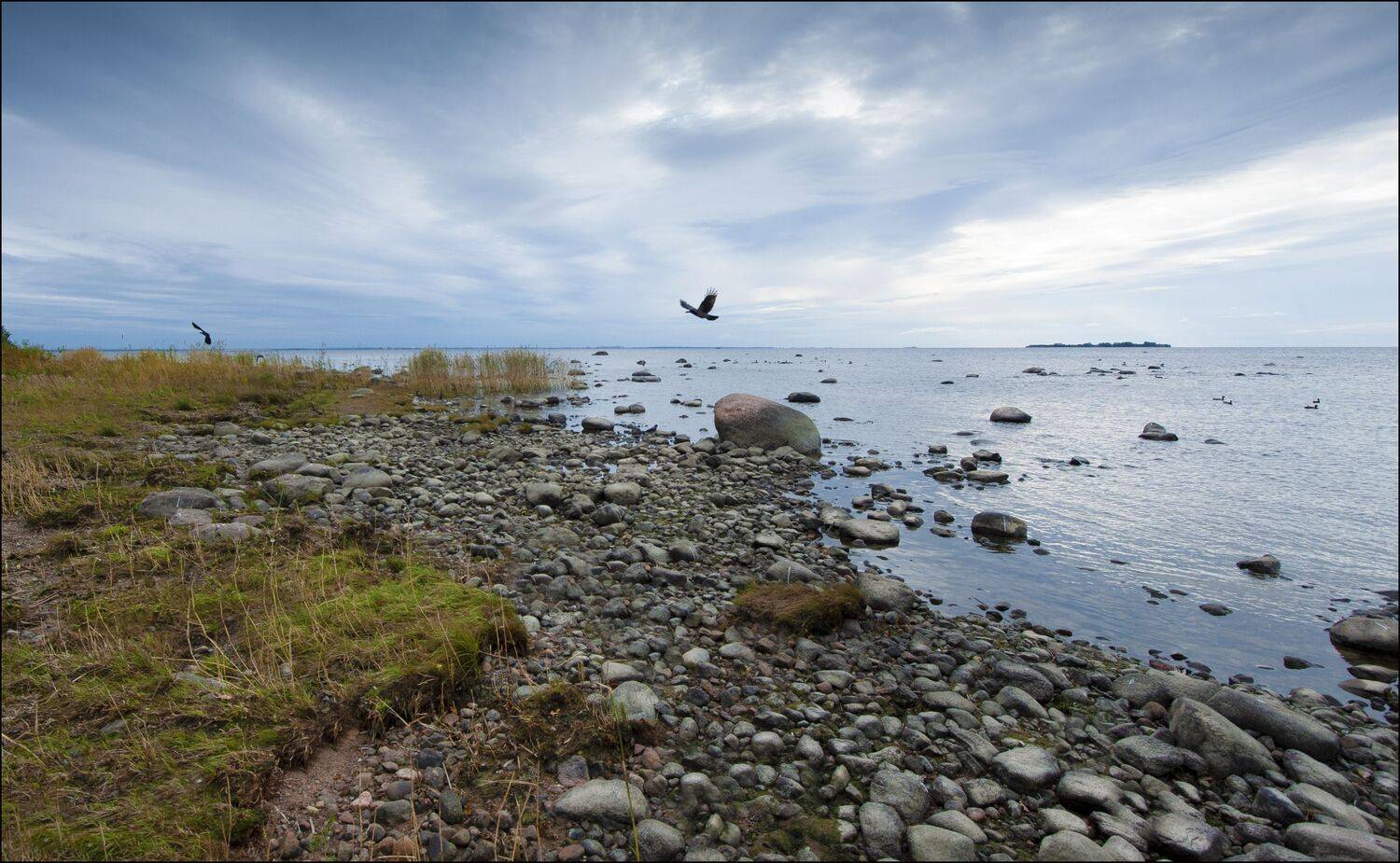 , Георгий Сапожников