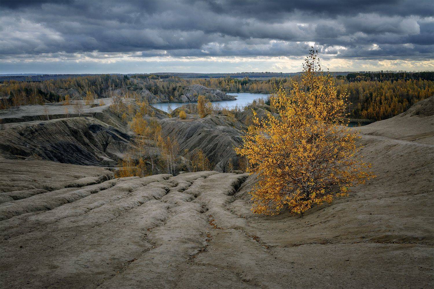 , Анатолий Зверев