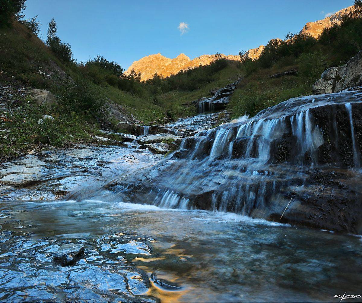 swiss, Матвеев Николай