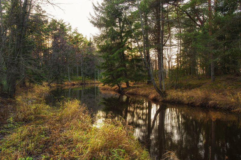 Осенняя рапсодия. фото превью