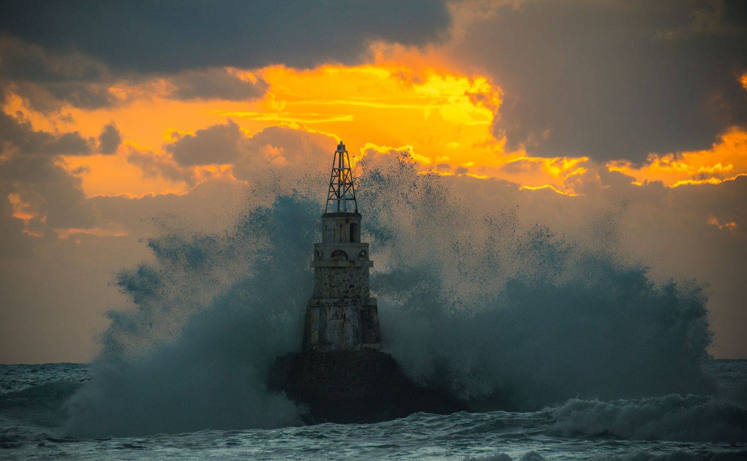 nikon d610/nikkor 200-500/5,6, Tihomir Petkov