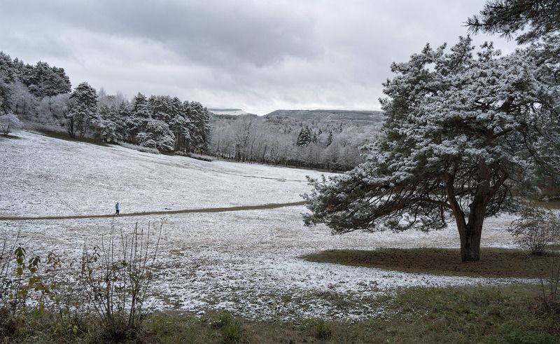 природа, горы, осень, снег Первый снег фото превью