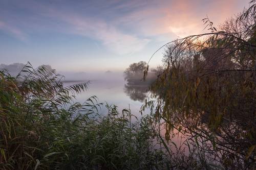В розовом тумане осени