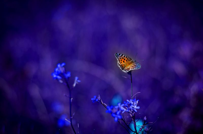 Dreams.... don\'t work unless you do... фото превью