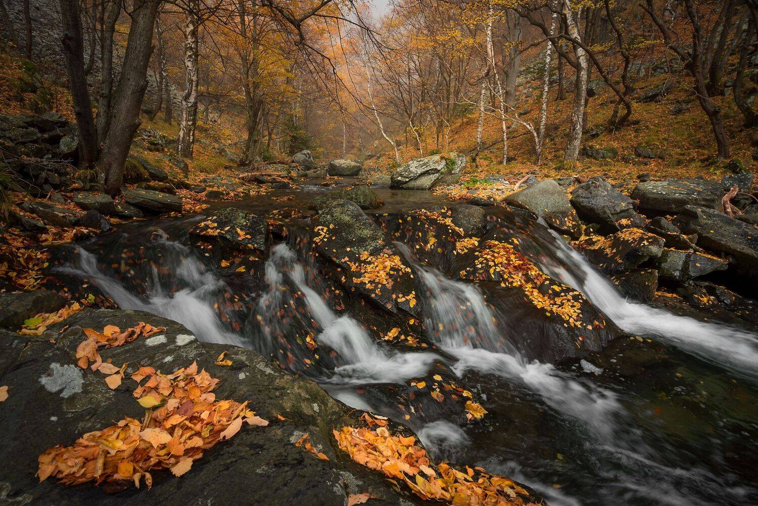 , Atanasova - Lucero Mariyana