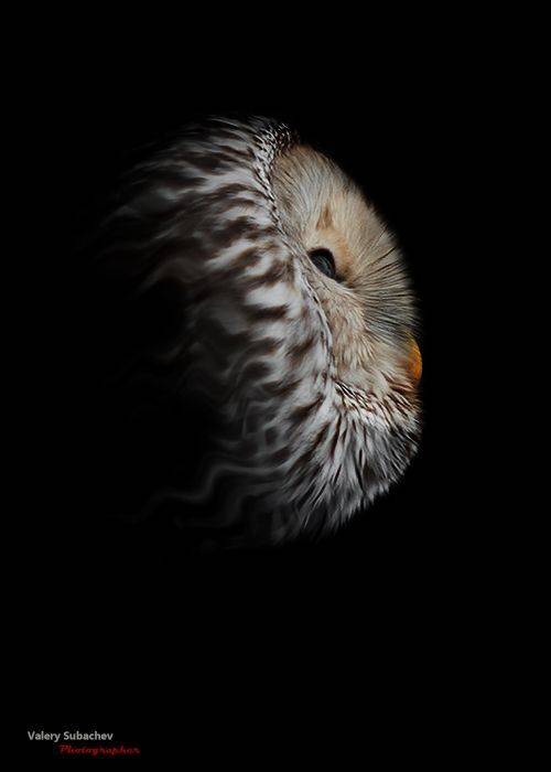 , Валерий Субачев