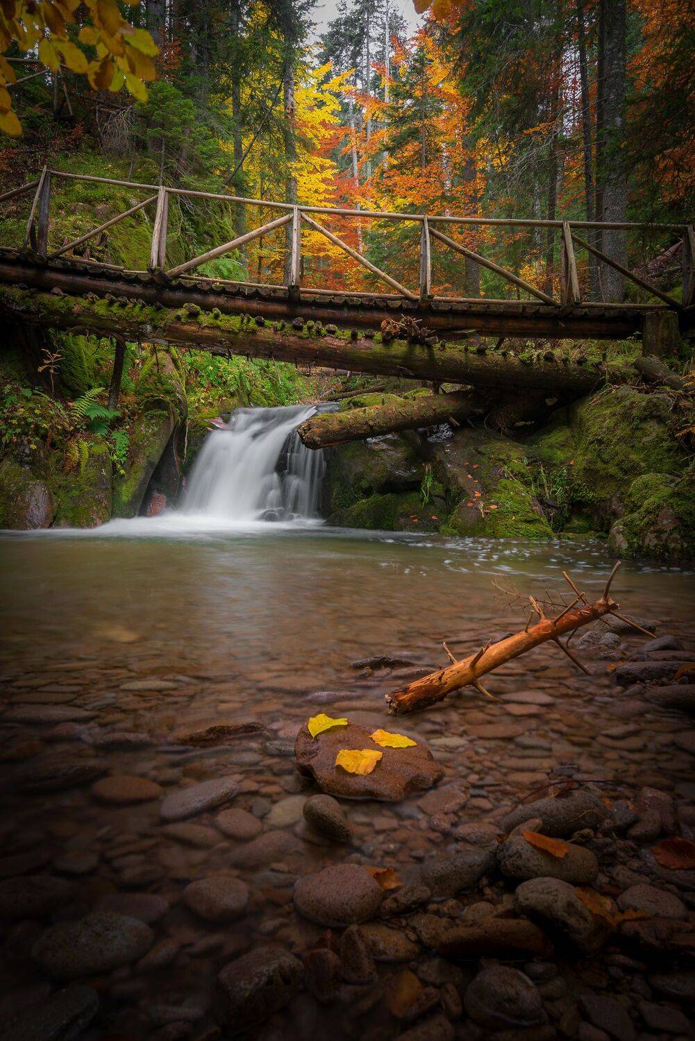 , Atanasova - Lucero Mariyana