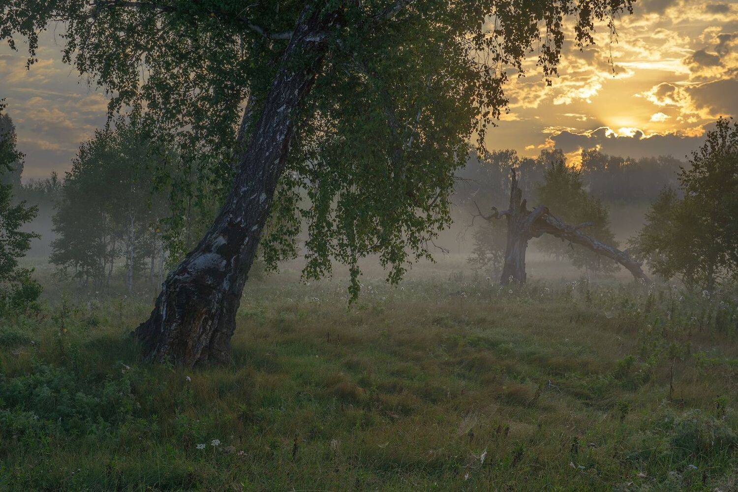 , Кутыгин Эдуард