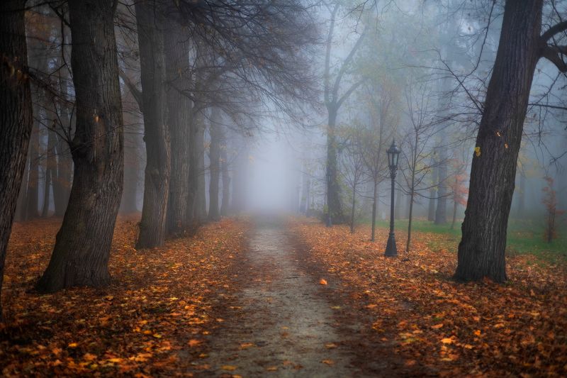 Foggy morning
