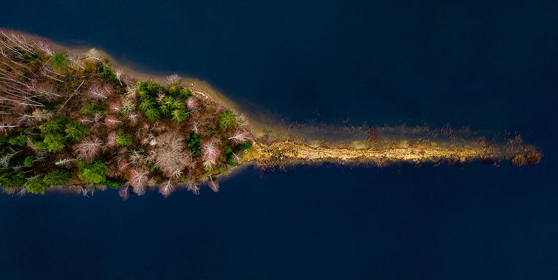 Чудо-юдо Рыба-кит... фото превью