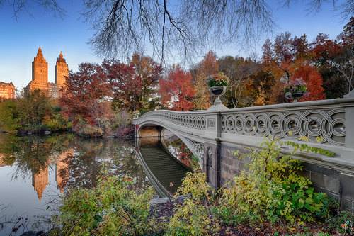 Bow Bridge in Central Park