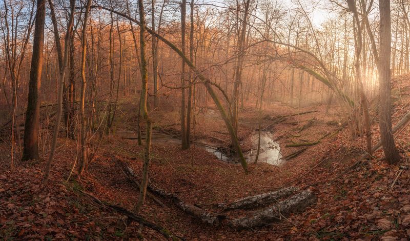 Золотая осень фото превью