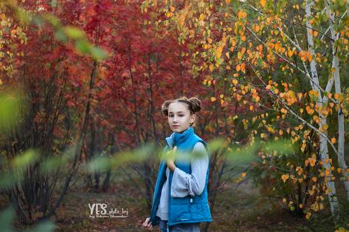 Краски осени