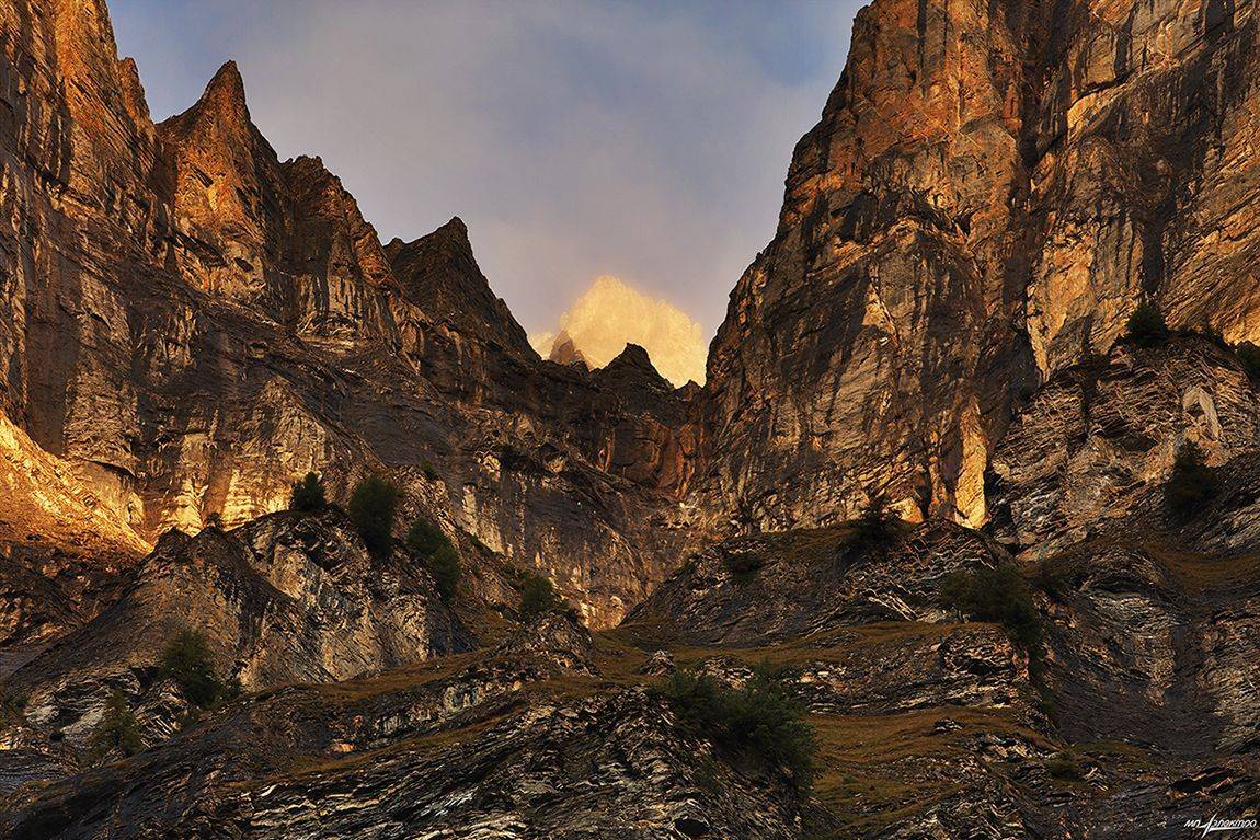 swiss, Матвеев Николай