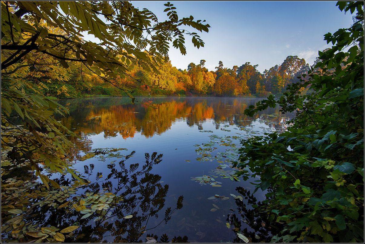 москва, осень, озеро, лес, отражение, АНАТОЛИЙ ДОВЫДЕНКО