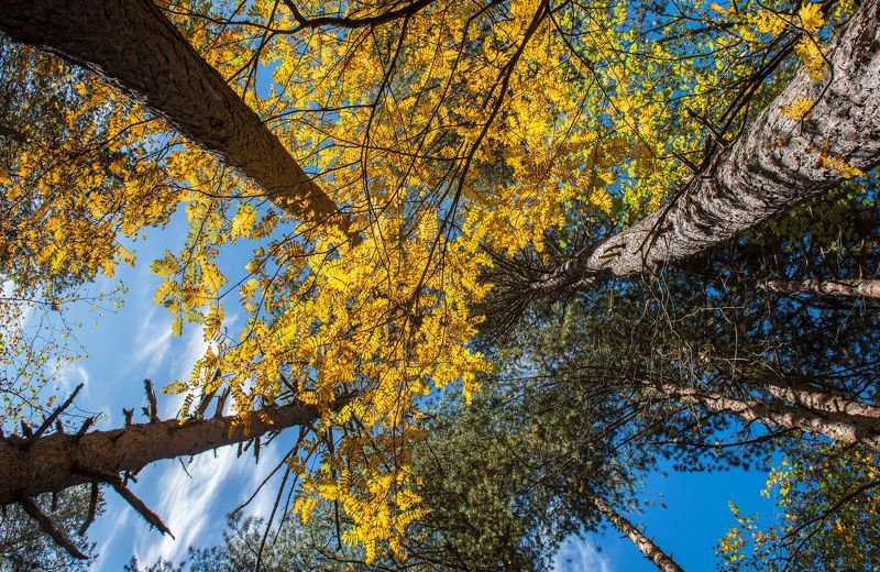 Северный Кавказ, Кабардино-Балкария, Адыр-Су, осень, горы, Конец сентября, ущелье Адыр-Су КБР фото превью