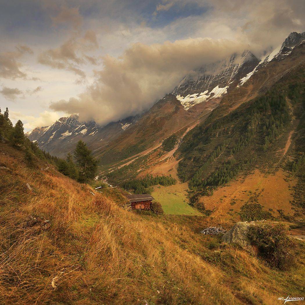 swiss, Матвеев Николай