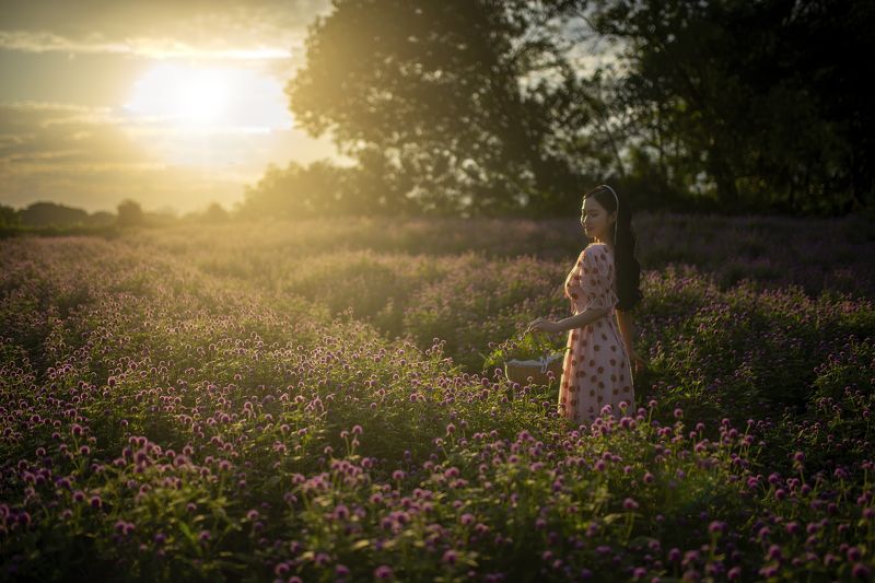 purple field фото превью