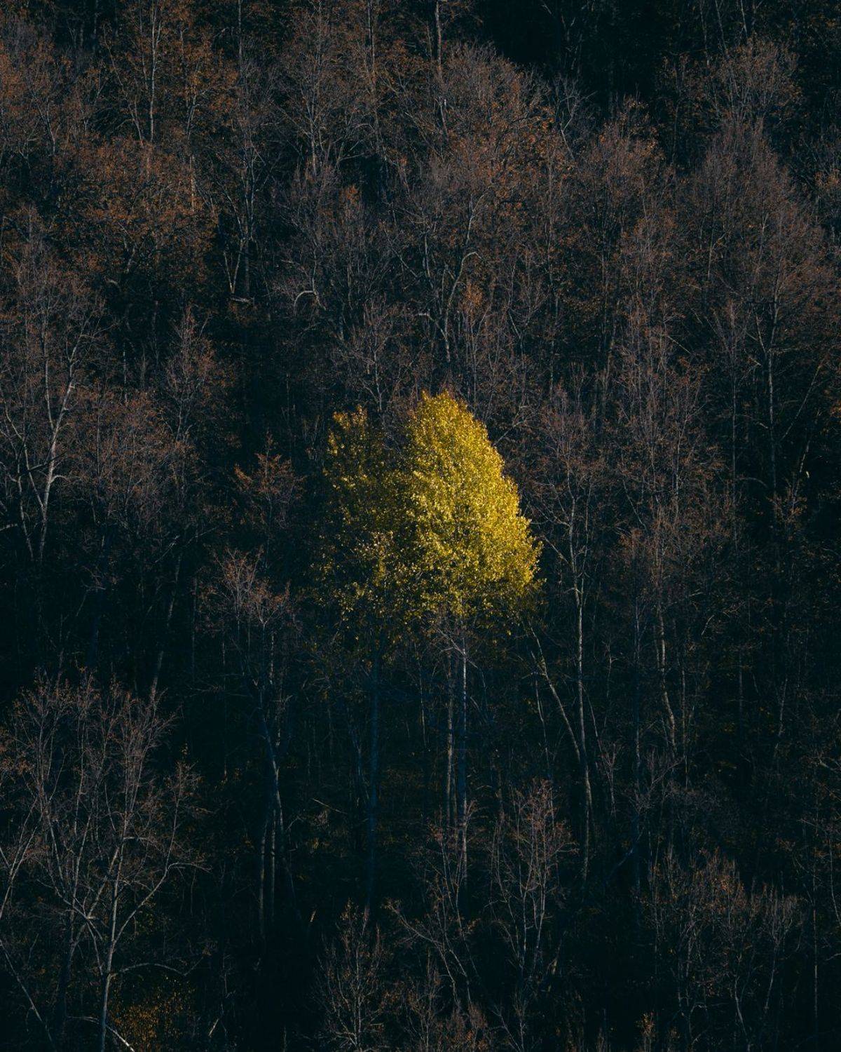 , Эдуард Галеев