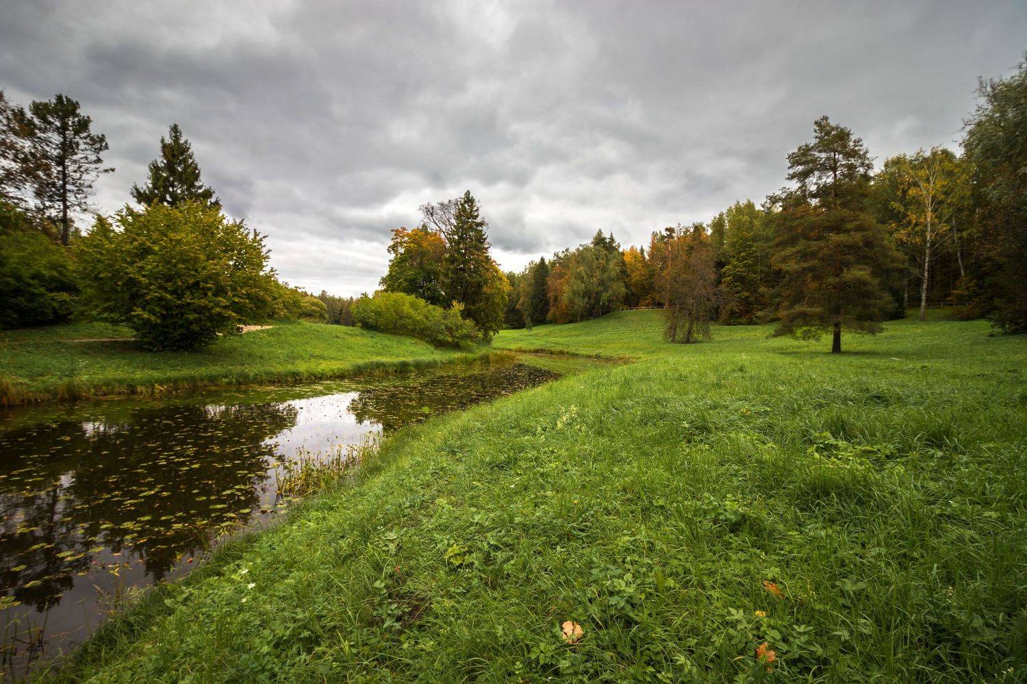 , Алексей Герасимов