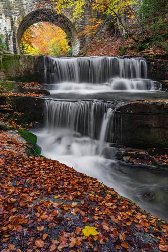 The colors of Autumn