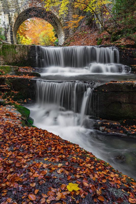 The colors of Autumn фото превью