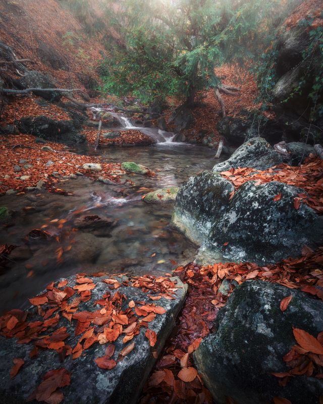 Ущелье Хапхал фото превью
