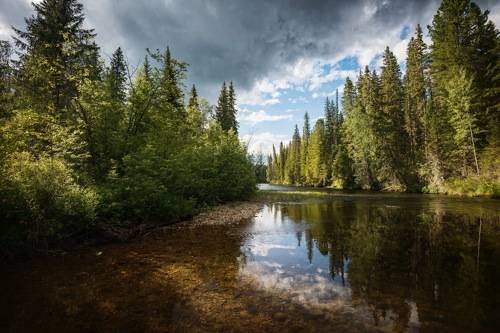 Таёжная речка Улс