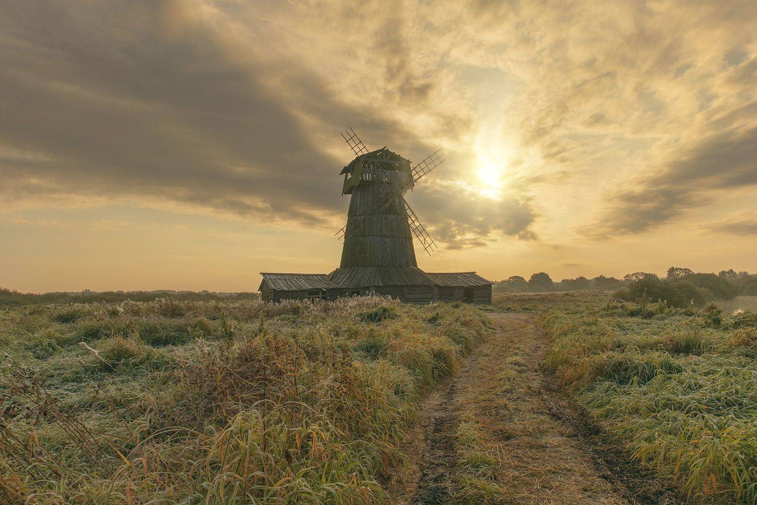 псковская обл,кинодеревня, alexOmRam