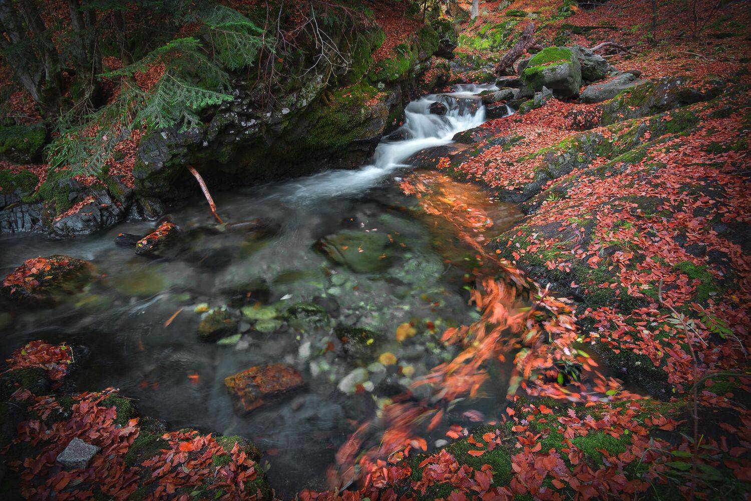 , Atanasova - Lucero Mariyana