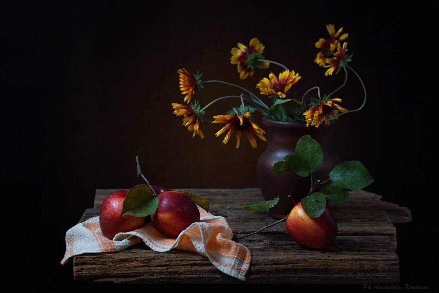 , Анжелика Королева