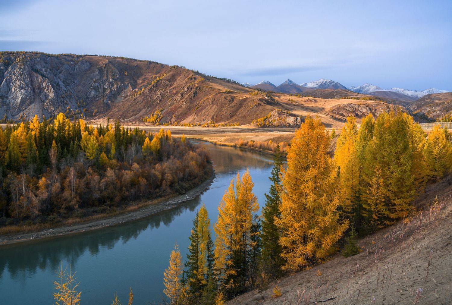 россия, горный алтай, река чуя, осень, вечер, Андрей Поляков