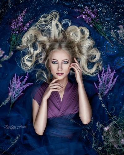 Lavender Dreams 4