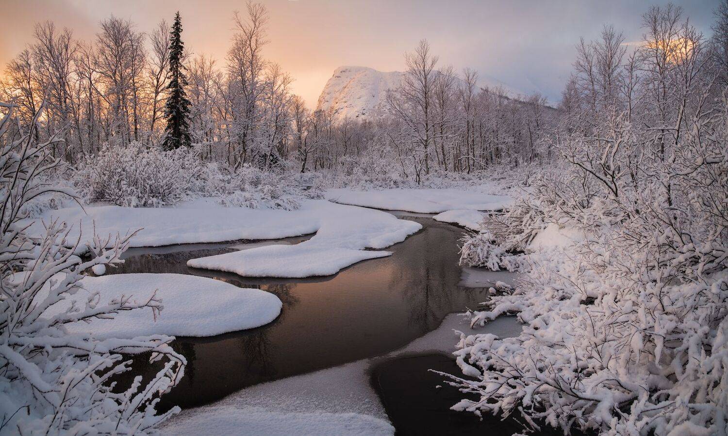 , Виталий Истомин