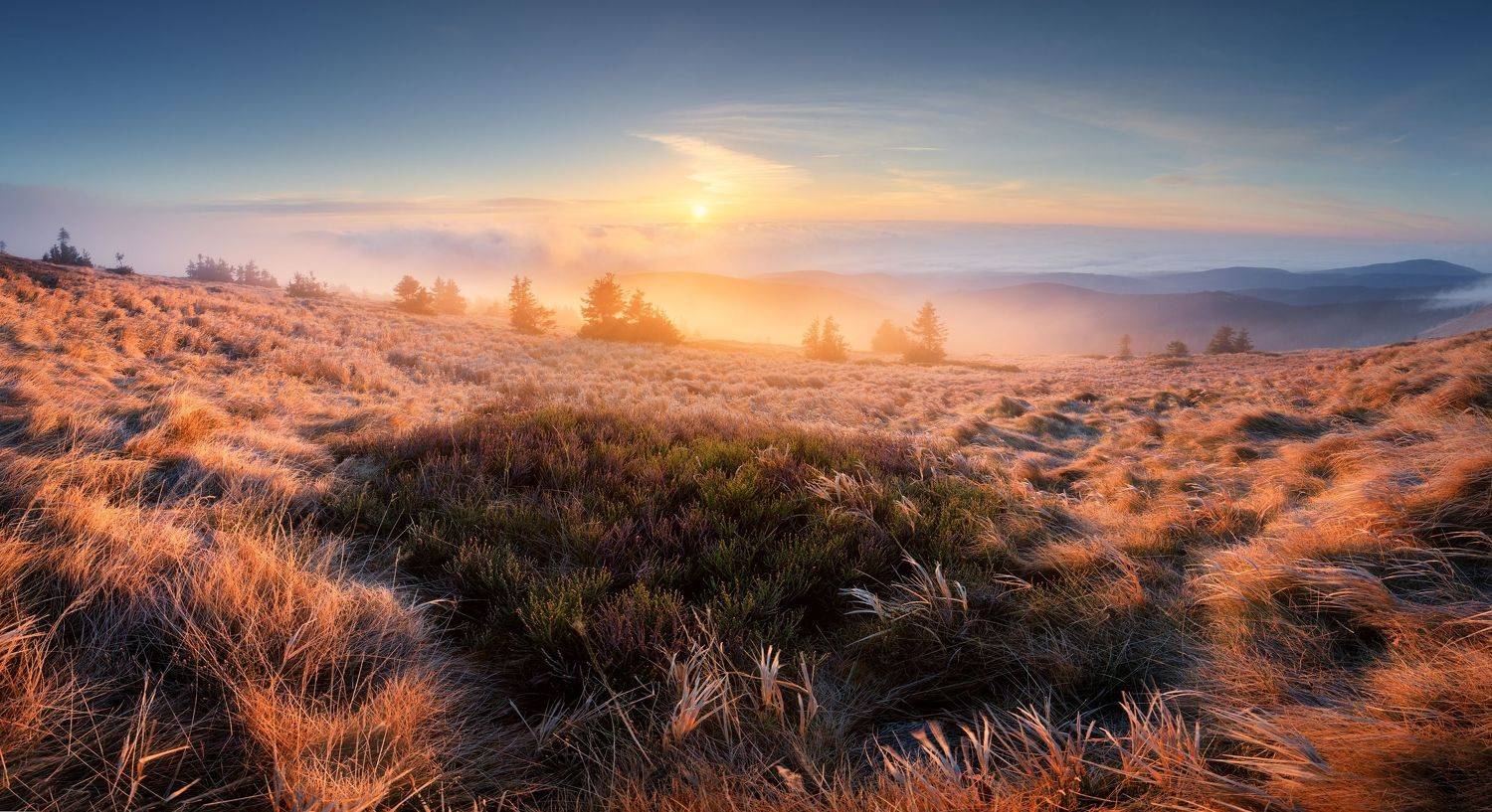 landscape, tree, sunrise, panorama, Petr Fiala