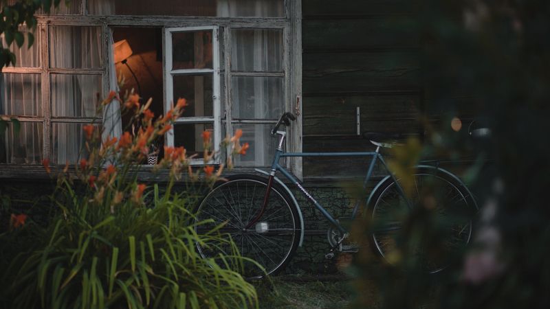 Вечер фото превью