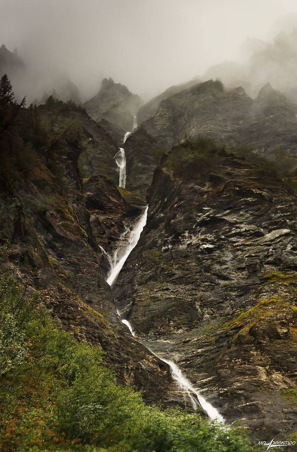 swiss, Матвеев Николай