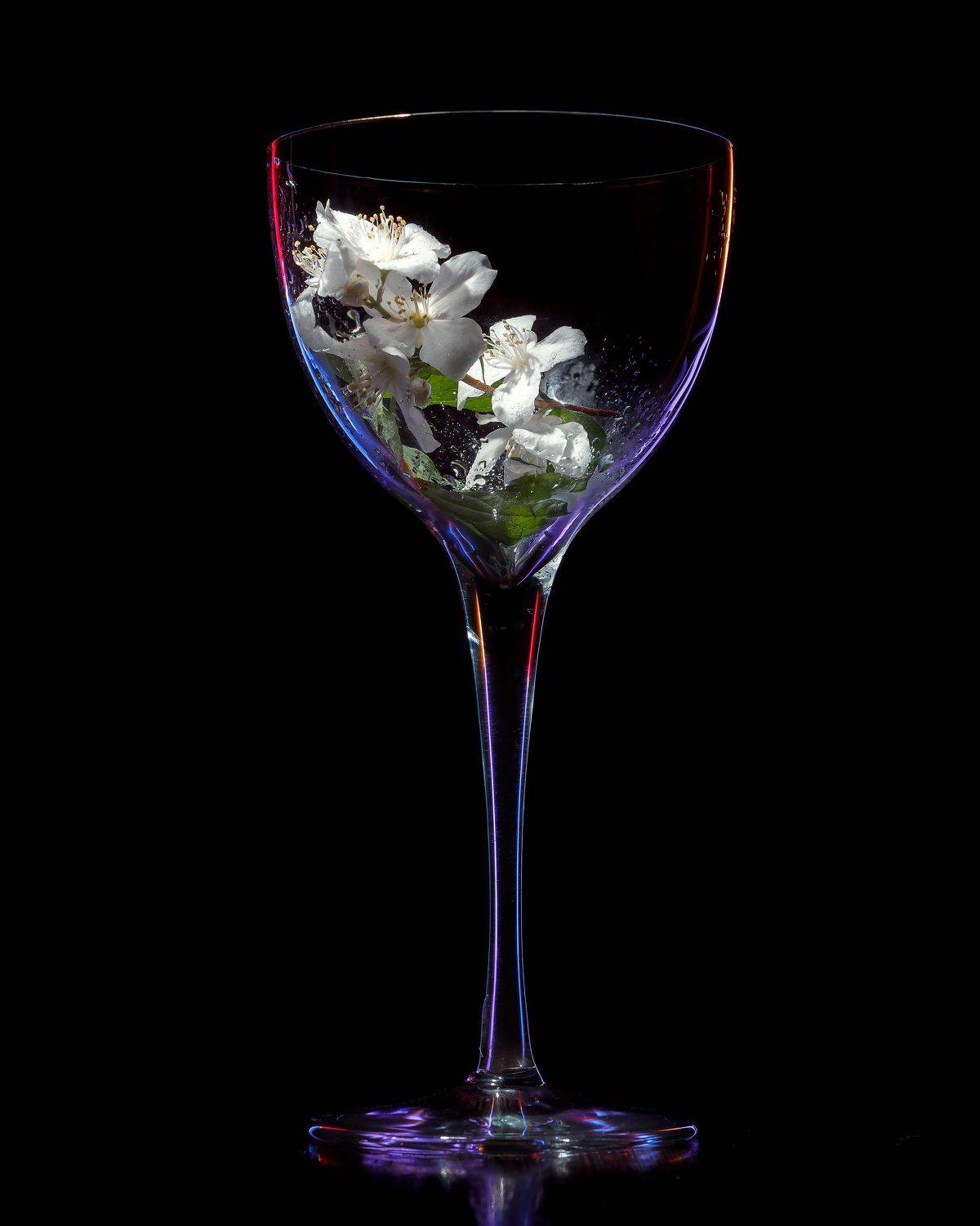 , Дмитрий Герц